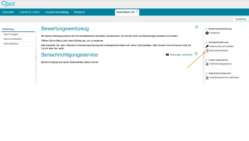 Bewertungswerkzeug - Massenbewertung starten_de.png