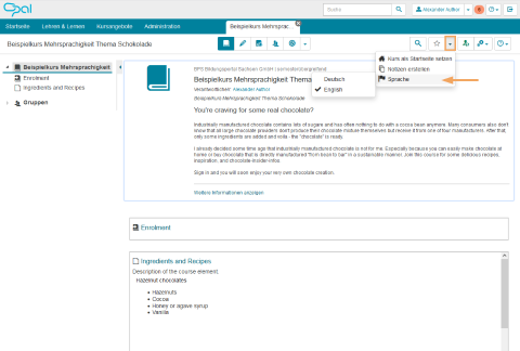 Kursansicht - Beispielkurs Mehrsprachigkeit_en.png
