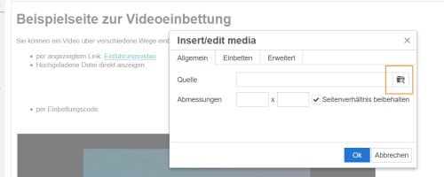 Tiny - Dialog Video einfügen_de.png