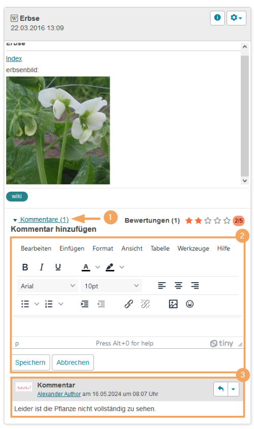 Lehren und Lernen - Artefakt kommentieren_de.png