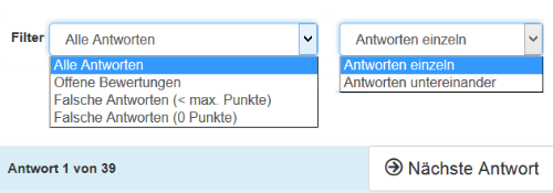 Manuelle Bewertung - Auswahl der angezeigten Antworten_de