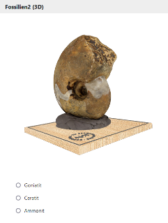 ONYX_3D_Einzelaufgabe_Fossilien2.png