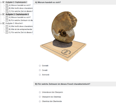 ONYX_3D_Mollusca_1.png
