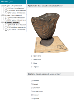 ONYX_3D_Mollusca_2.png