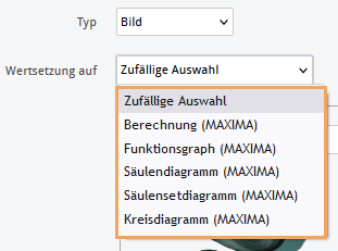 Editor - Bildvariable Wertsetzung_de.png