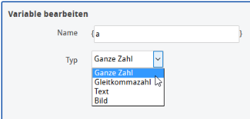 Editor - Ganzzahlvariable Typauswahl_de.png