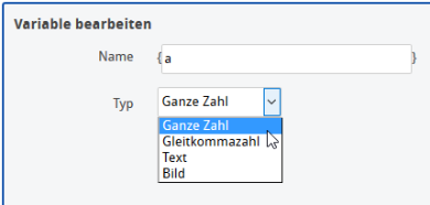 Editor - Ganzzahlvariable Typauswahl_de.png