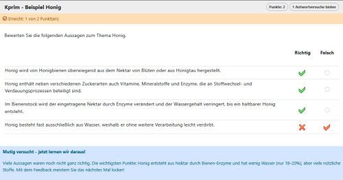 Beispielaufgabe - Kprim_halbe Punkte_de.png