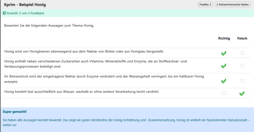 Beispielaufgabe - Kprim_volle Punkte_de.png