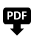 Icon_pdf-Export.png