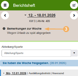 BLok-mobil-Berichtsheft_Bemerkungen zur Woche_de.png