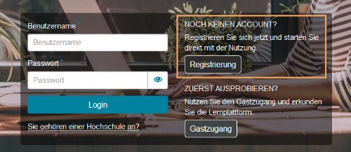 Login-Anmeldefenster OPAL HS_de.png
