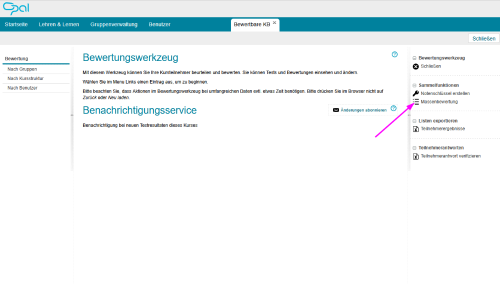 Bewertungswerkzeug - Massenbewertung starten_de.png