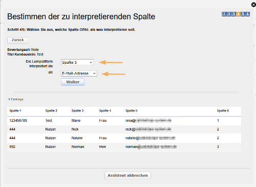 Massenbewertung - Auswahl E-Mailadresse_de.png