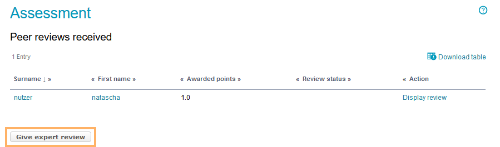 Bewertungswerkzeug - Expertenreview starten_en.png