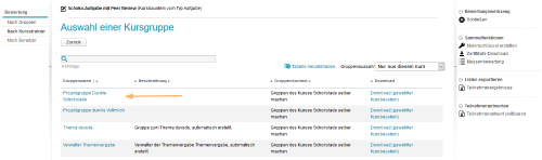 Bewertungswerkzeug - Gruppenauswahl_de.png