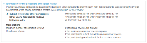 Kursrun - Ablauf PeerReview_en.png