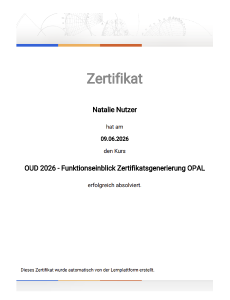 Zertifikat - Basiszertifikat_de.png