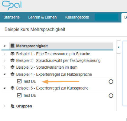 Kursrun - Sichtbarkeit nach Nutzersprache_de.png