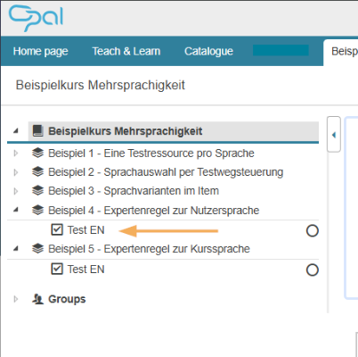 Kursrun - Sichtbarkeit nach Nutzersprache_en.png
