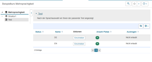 Kursrun - Sprachauswahl per Gruppeneinschreibung_de.png