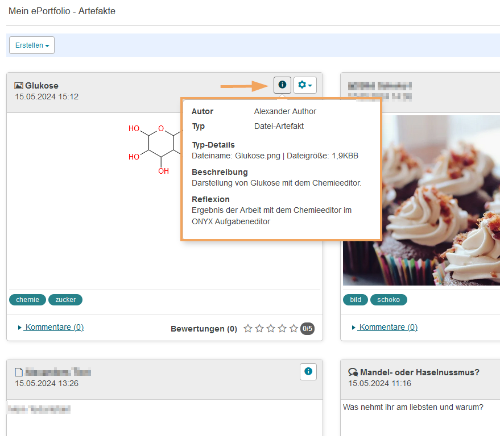 ePortfolio - Artefakt Detailinformationen_de.png