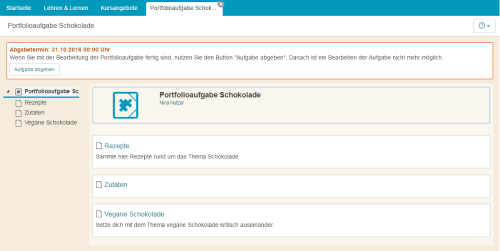 ePortfolio - geöffnete Portfolioaufgaben_de.png