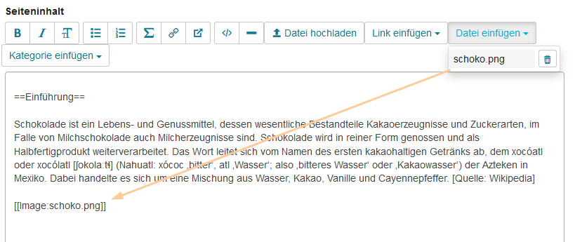Kursrun - Wiki Datei einfügen_de.png