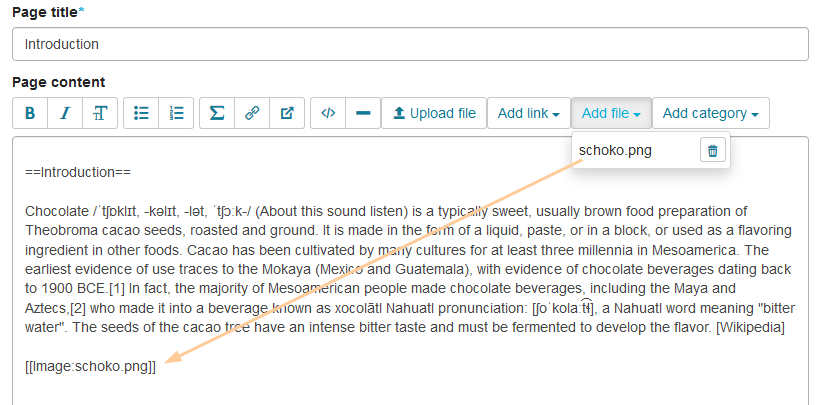 Kursrun - Wiki Datei einfügen_en.png