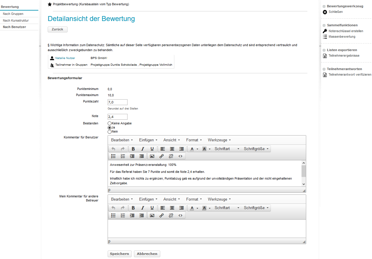 Bewertungswerkzeug-Beispiel Bewertungsformular_de.png