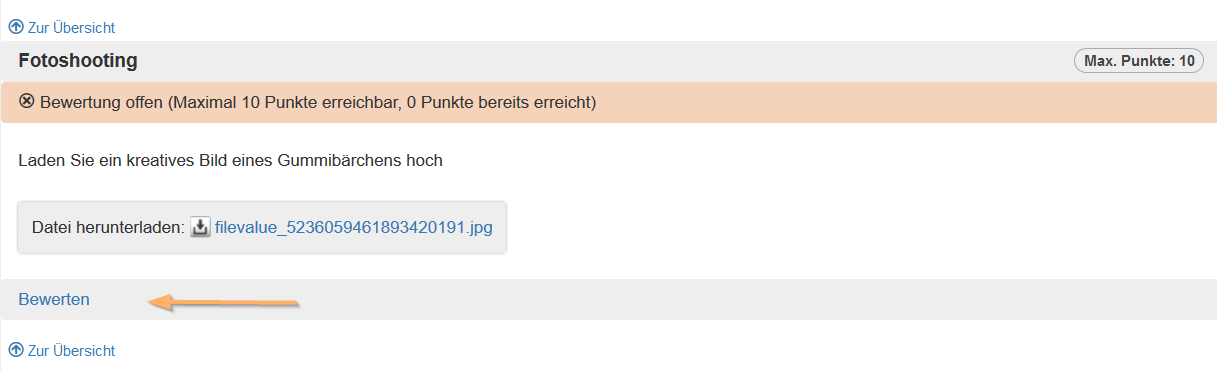 Reporter - Aufgabenbewertung starten_de.png