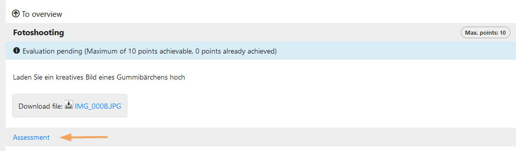 Reporter - Aufgabenbewertung starten_en.png