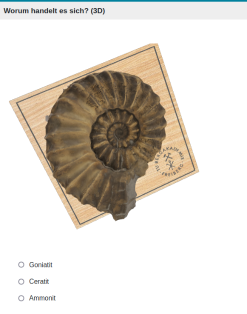 ONYX_3D_Einzelaufgabe_Ammonit.png