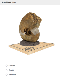 Fossilien2 3D