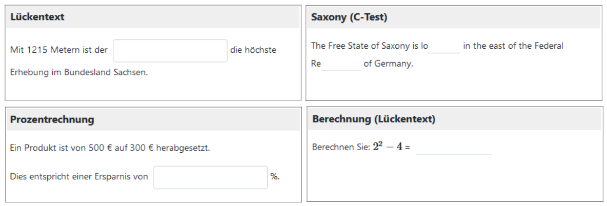 Testdurchführung - Lückentext Beispiele_de.png