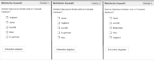 Testrun- Beispielinhalt mit zufällig angeordneten Antworten_de.png