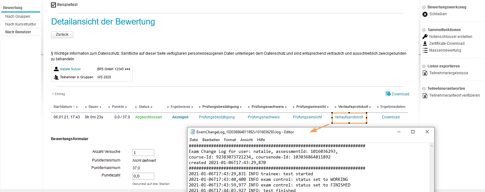 Bewertungswerkzeug - Verlaufsprotokoll_de.png